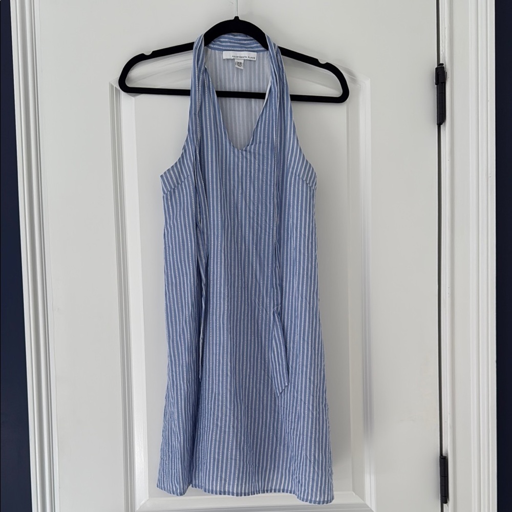 Fourteenth Place Blue and White Striped Dress